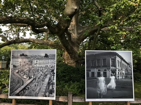 La Gacilly Baden Bei Wien Fotoausstellung 07 2020 3 Flickr