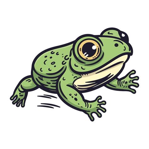 Premium Vector Frog Vector Illustration Of A Green Frog On A White