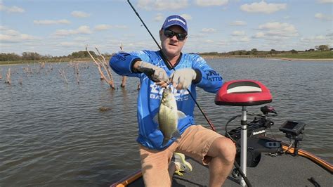 Waurika Lake Ok White Bass And Crappie Southwest Outdoors Report 30