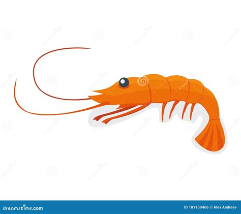 Seafood Shrimp Ocean Delicacy Food Isolated On White Cartoon Vector