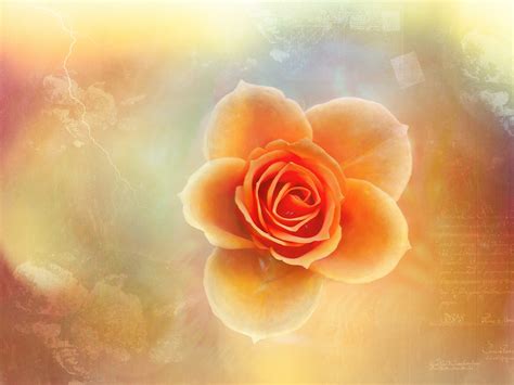 Download Rose Artistic Creativity Royalty Free Stock Illustration