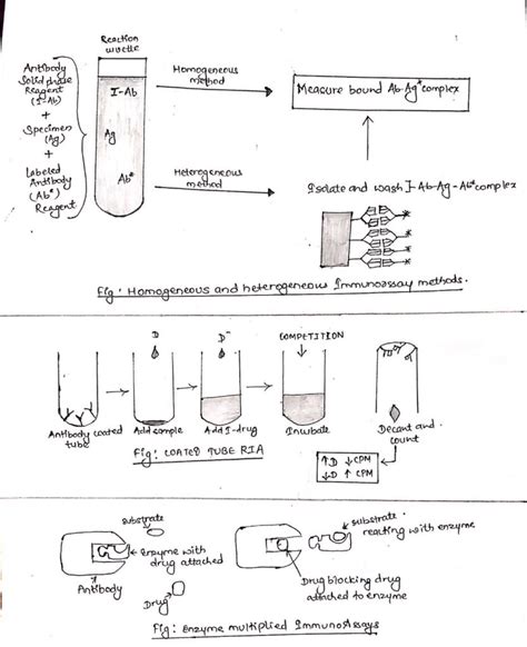 Immunoassay Principle And Methods Online Biology Notes