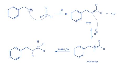 Reductive Amination: Mechanism, Applications, Limitations