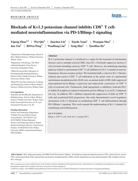 PDF Blockade Of Kv1 3 Potassium Channel Inhibits CD8 T Cell Mediated