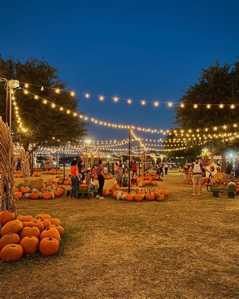 Angelina*•*• on Instagram: "Pumpkin patching time!! 🎃 • • • • • #pumpkin #pumpkinpatch # ...