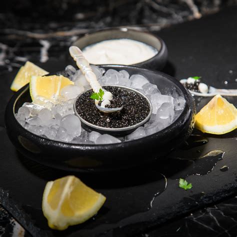 beluga caviar harvesting
