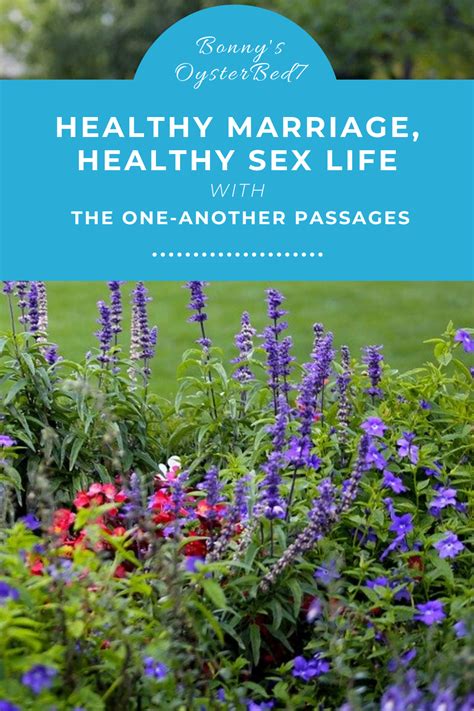 Healthy Marriage Healthy Sex Life The One Another Series • Bonnys