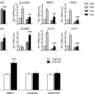 Immunoblot analysis of TGF β1 induced R Smad activation in Panc 1 and