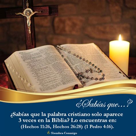 ¿sabías Que Biblia Palabras Cristianas Biblia Sabías Que