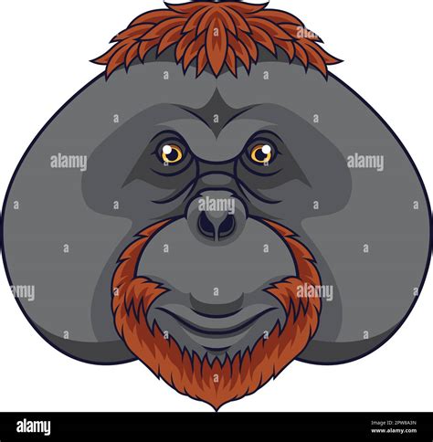 Cartoon orangutan head mascot Stock Vector Image & Art - Alamy