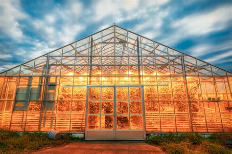 Icelands Greenhouses Creating A Sustainable Food System