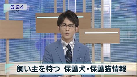 浦 和 の う な 坊浦和を離れるまで あと27日 on Twitter 保護犬保護猫の情報 TOKYOMX