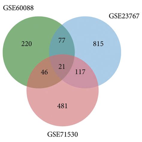 Identification Of Differentially Expressed Genes DEGs In Septic Liver