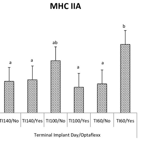 Longissimus Muscle Myosin Heavy Chain Iia Mhc Iia Relative Mrna