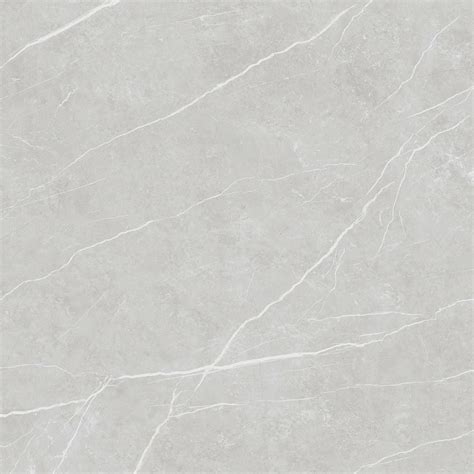 Elite Matt Silver 120x120 Rec Tau Cerámica Matt Porcelain Tiles Polished Porcelain Tiles Tiles