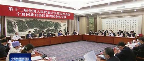 宁夏代表团举行全体会议 审议有关决议草案 陈润儿讲话 咸辉参加工作咸辉有关