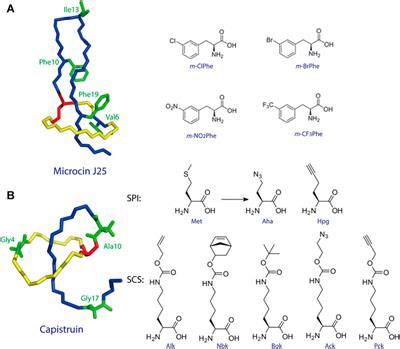 Frontiers Recent Advances And Perspectives On Expanding The Chemical