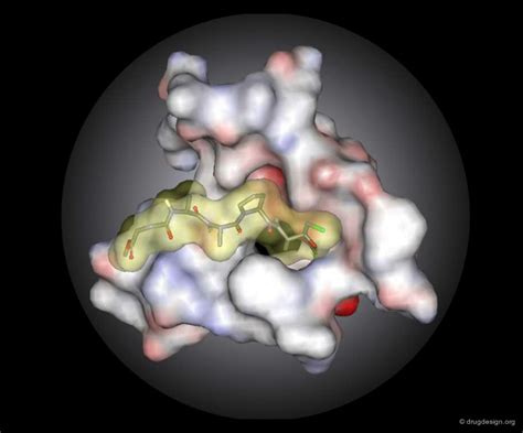 3D QSAR Drug Design Org