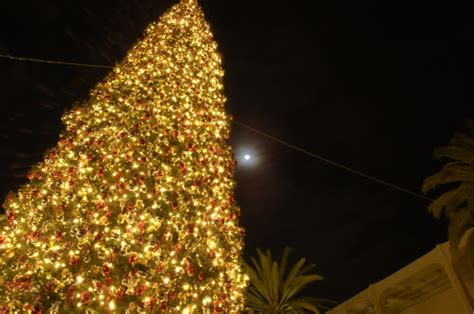 MOON OVER FASHION ISLAND CHRISTMAS TREE - Orange County Astronomers