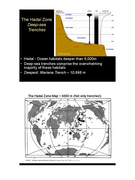 Deep-Sea Trenches: The Hadal Zone | PDF | Benthic Zone | Deep Sea