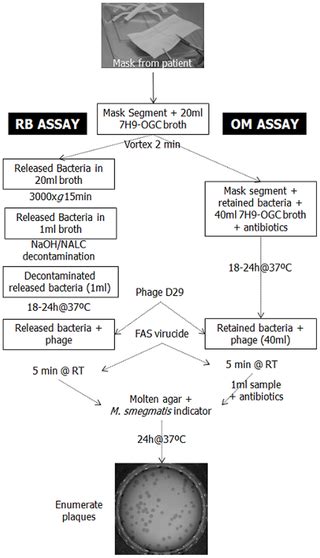 Face Mask Sampling For The Detection Of Mycobacterium Tuberculosis In