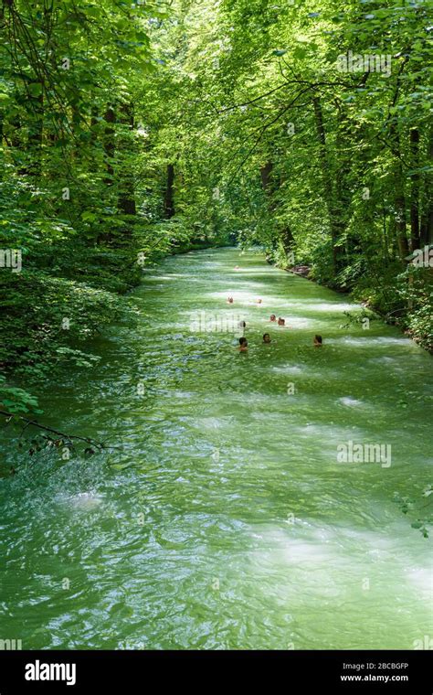 Swimming in the Eisbach River, English Garden, Munich, Bavaria, Germany ...