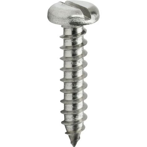 Chrome Finish Stainless Steel Slotted Cheese Head Self Tapping Screw At