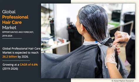 Professional Hair Care Market Size Share And Trends Industry Report 2026