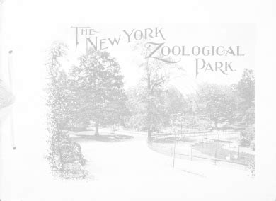 Bronx Zoo 125th Birthday - Bronx Zoo