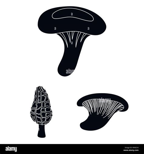 Poisonous and edible mushroom black icons in set collection for design ...