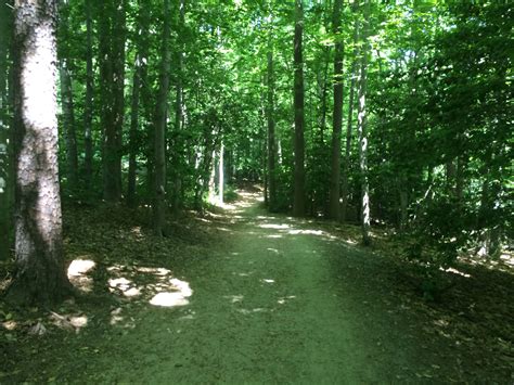 A Directory of Funeral Homes and Services in Burke, Virginia 6