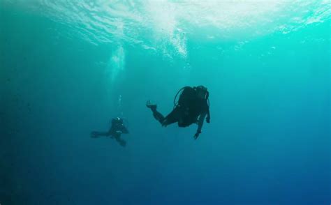 Trailer Released For Thriller The Dive Film Stories