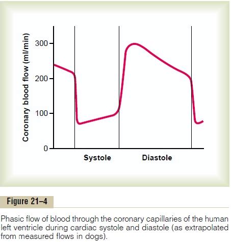 Normal Coronary Blood Flow