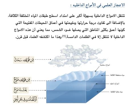 Provide Accurate English And Arabic Translation Services By Hanyben Fiverr