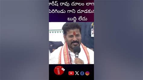 హరీష్ రావు దూలం లాగా పెరిగిండు గాని దూడకున్న బుద్ధి లేదు