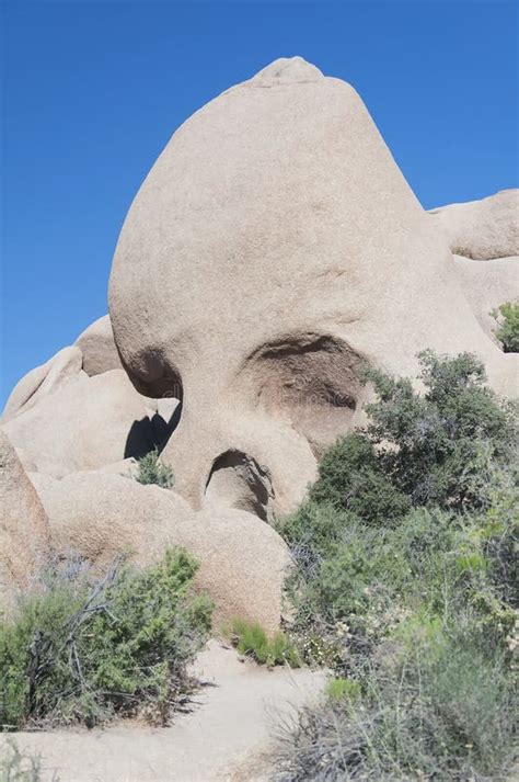 Joshua Tree National Park California Skull Rock Stock Photo Image Of