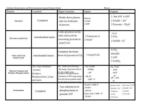 AP Bio 3 6 Input Output Student Chart BIOL 101 Cellular