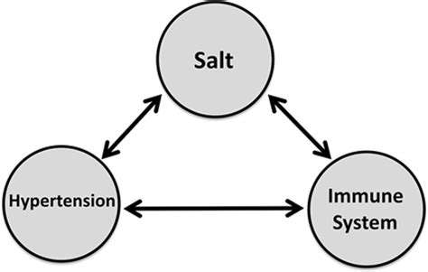 National Heart Lung And Blood Institute Working Group Report On Salt