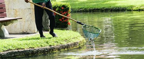 Algae Control | Effective Strategies For A Clean And Healthy Pond ...