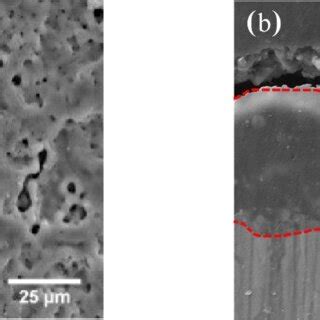 SEM Surface A And Cross Section B Images Of PEO Coatings