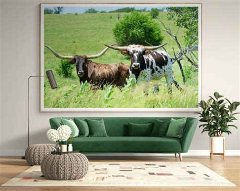 Longhorns Kansas Etsy