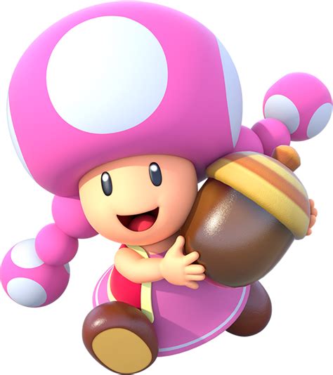 Image Mpsr Toadette Png Nintendo Fandom Powered By Wikia