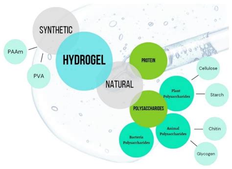 Gels Free Full Text Polymer Gels Classification And Recent