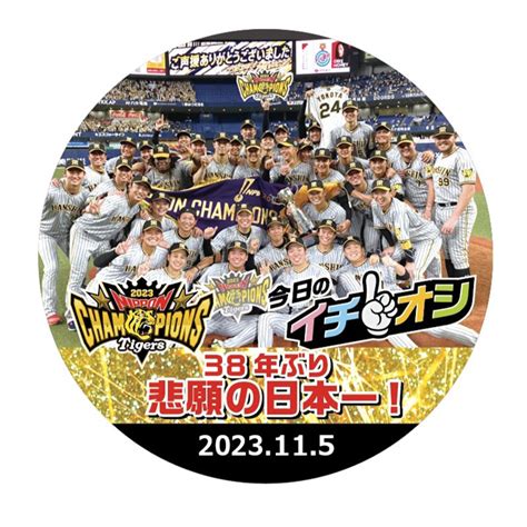 【驚きの価格が実現！】 阪神タイガース ファン感謝デー2023 連番2枚 野球