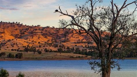 Discovery Parks Lake Hume New South Wales Gday Parks