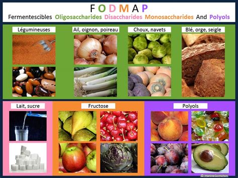 Fodmap ∞ Santé Forme Bien Etre ∞ Naturopathe Paris