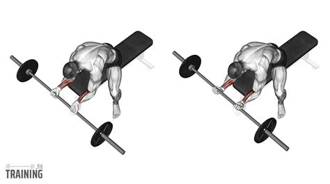 Barbell Reverse Wrist Curls Instructions Information Alternatives