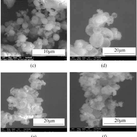 Morphological Changes Observed During Co Crystallization Of Proposed