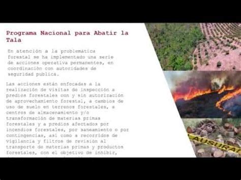 J Venes Construyendo El Futuro Del Medio Ambiente Prevenci N De La