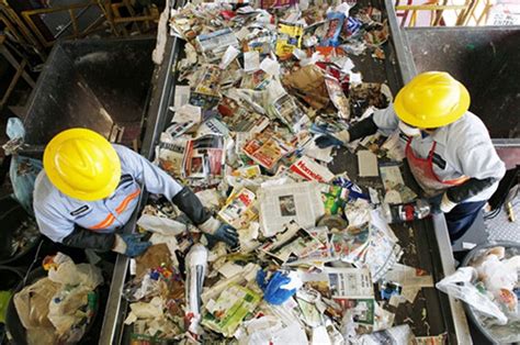 La Importancia De Los Recicladores Para El Futuro Ambiental